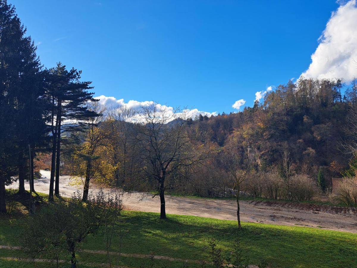 Greenriver Apartment Spodnje Gorje Luaran gambar