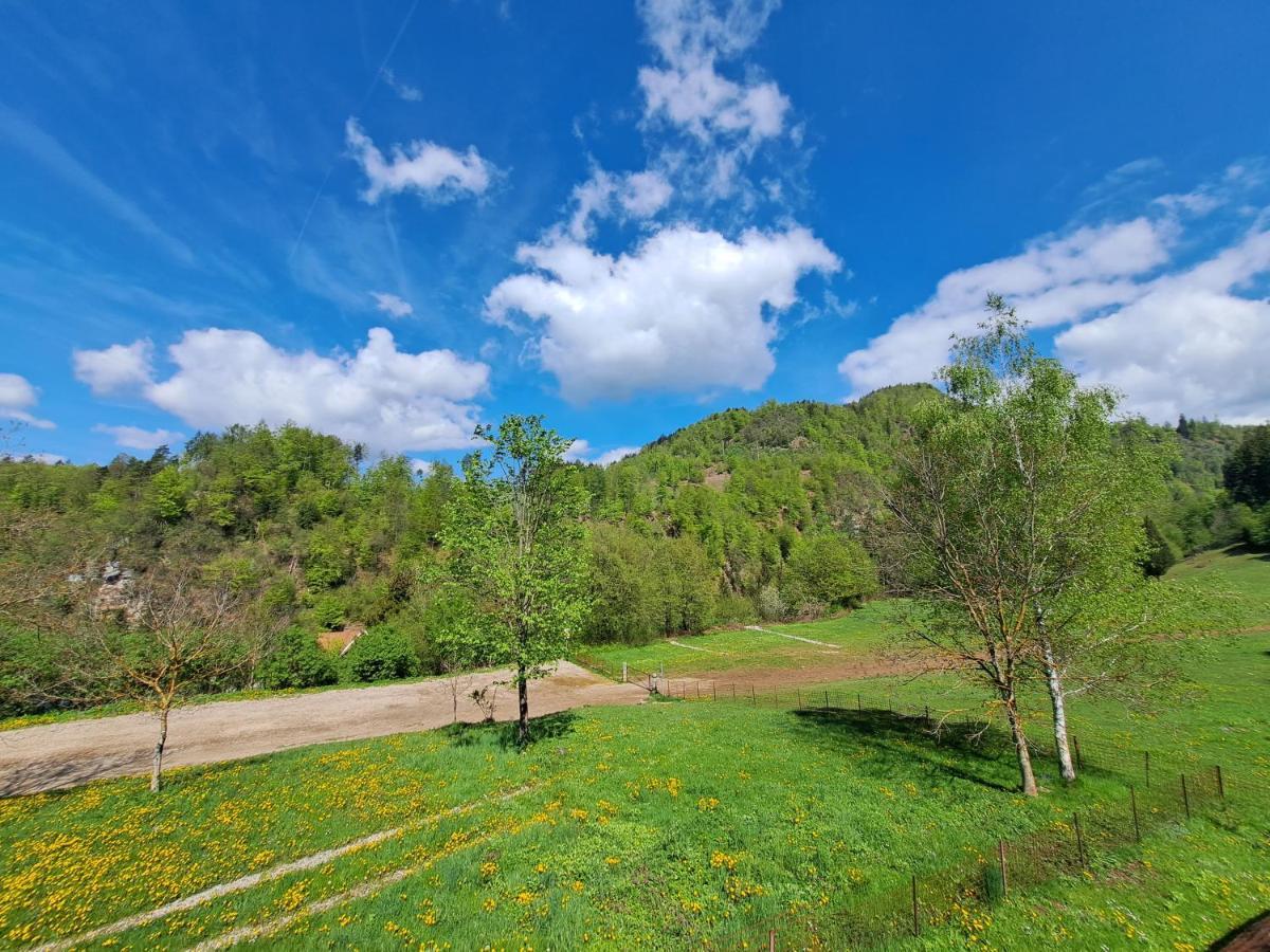 Greenriver Apartment Spodnje Gorje Luaran gambar