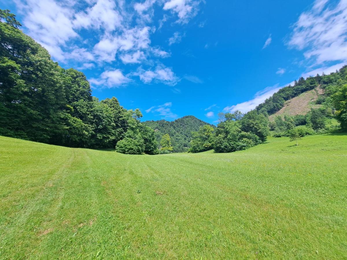 Greenriver Apartment Spodnje Gorje Luaran gambar